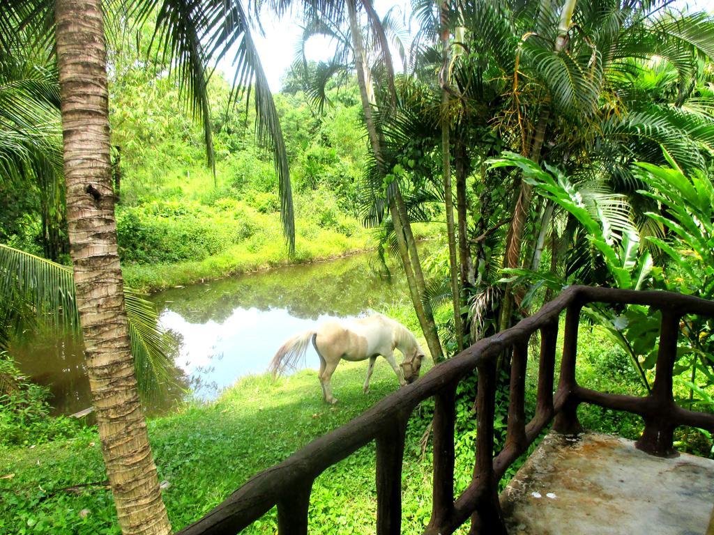 Happiness Resort Ban Klong Haeng Екстер'єр фото